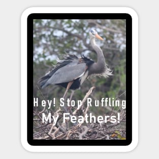 A Great Blue Heron Upset that it's Lovely Plummage is Being Messed With! Sticker